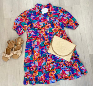 Kayla Bold Multi Color Dress