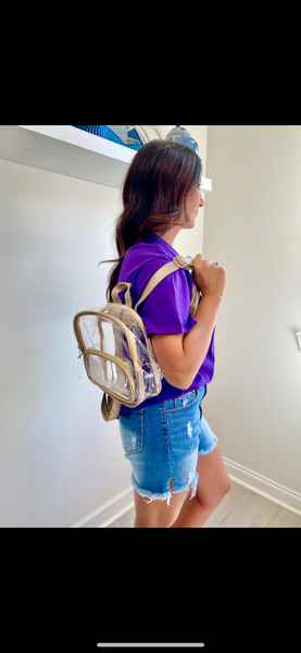 Clear Small Backpack
