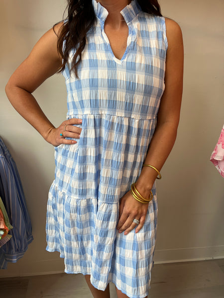 Brandy Dress Indigo